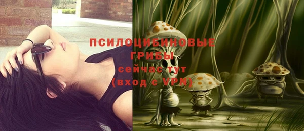 тгк Абдулино