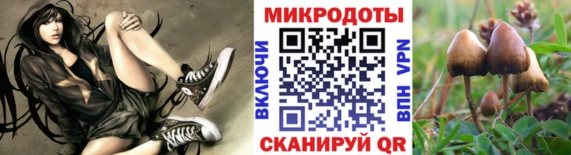 Псилоцибиновые грибы Cubensis  Таганрог 